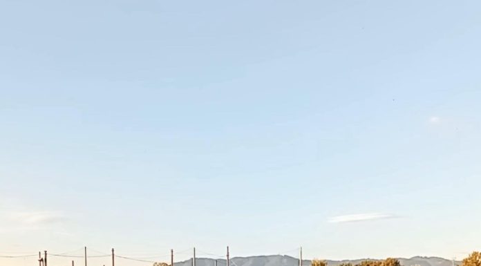 “Settembre Rossoblù”: al via il Torneo Pulcini 2018 organizzato dal Pisa Ovest